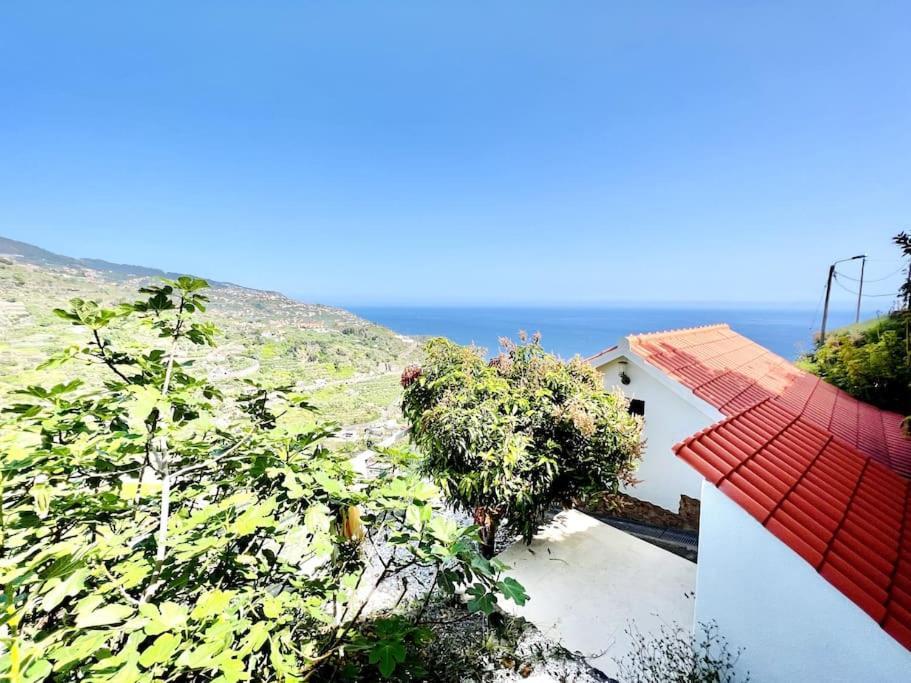 Mar A Vista By Your Madeira Rentals Ponta do Sol  Exterior foto